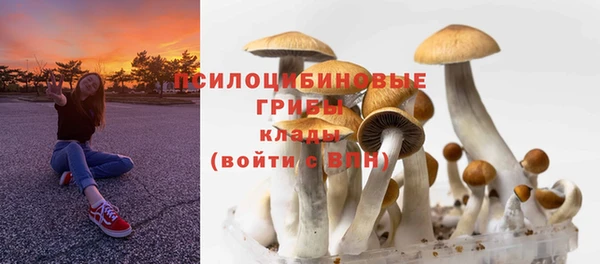 COCAINE Баксан