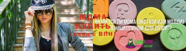 шишки Армянск