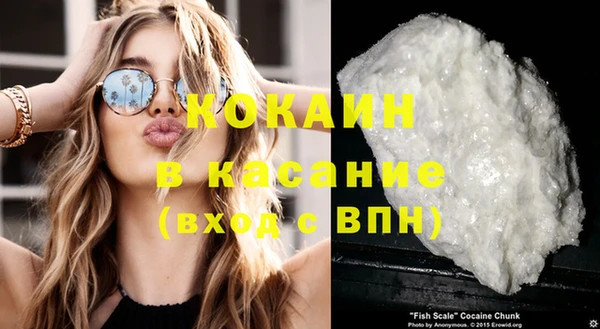 шишки Армянск